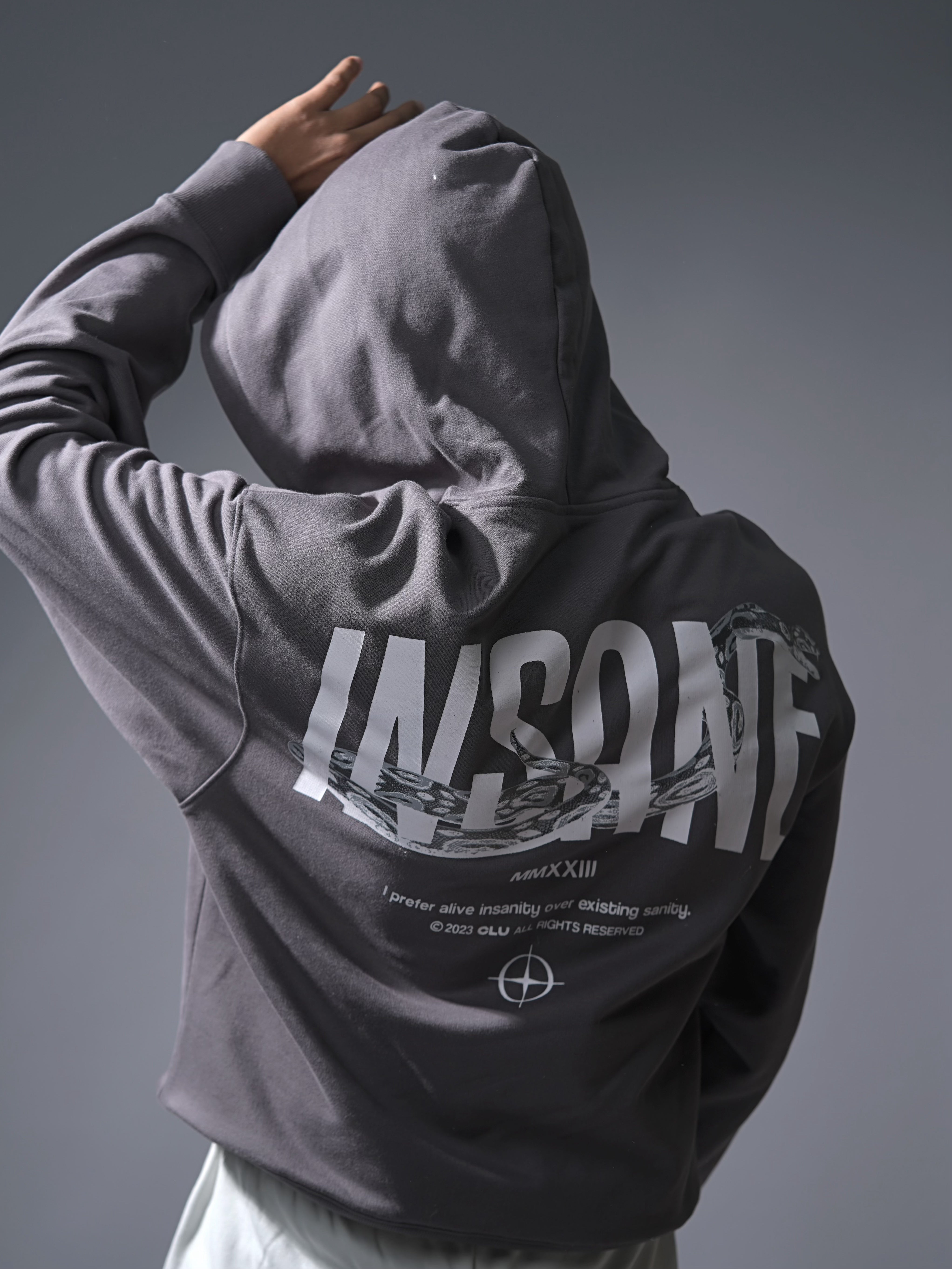 INSANE (SUMMER HOODIE)